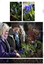 aftenbladet_bilag-20090406_000_00_00_005.pdf