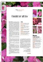 aftenbladet_bilag-20090406_000_00_00_036.pdf