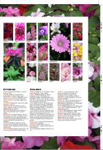 aftenbladet_bilag-20090406_000_00_00_037.pdf