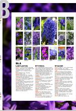 aftenbladet_bilag-20090407_000_00_00_038.pdf