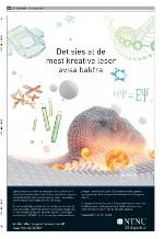 aftenbladet_bilag-20100310_000_00_00_036.pdf