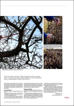 aftenbladet_bilag-20130323_000_00_00_025.pdf