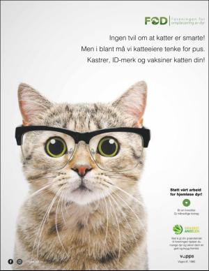 aftenbladet_bilag-20190918_000_00_00_011.pdf