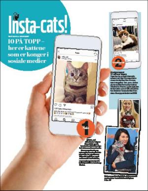 aftenbladet_bilag-20190918_000_00_00_012.pdf