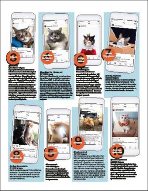 aftenbladet_bilag-20190918_000_00_00_013.pdf