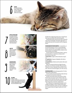 aftenbladet_bilag-20190918_000_00_00_018.pdf