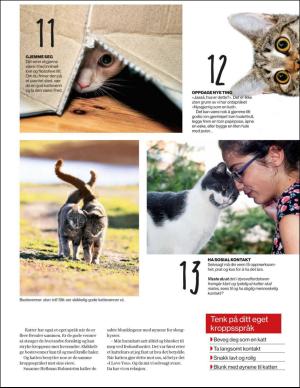 aftenbladet_bilag-20190918_000_00_00_019.pdf