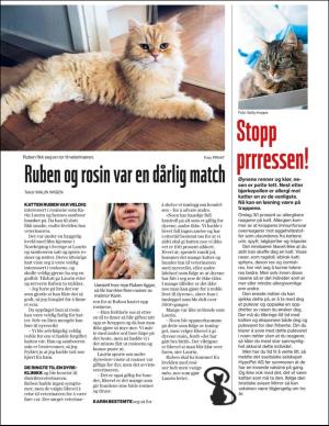 aftenbladet_bilag-20190918_000_00_00_022.pdf
