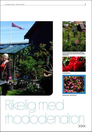 aftenbladet_bolig-20170623_000_00_00_003.pdf