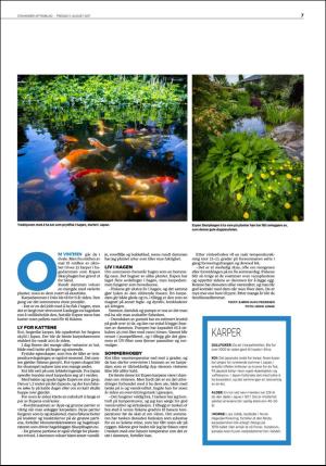 aftenbladet_bolig-20170811_000_00_00_007.pdf