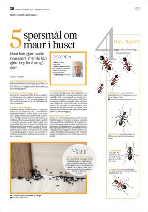 aftenbladet_bolig-20180921_000_00_00_036.pdf