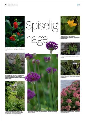 aftenbladet_bolig-20190426_000_00_00_006.pdf