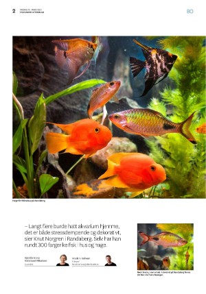 aftenbladet_bolig-20210312_000_00_00_002.pdf