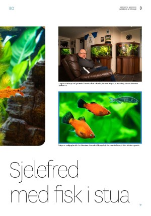 aftenbladet_bolig-20210312_000_00_00_003.pdf