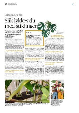 aftenbladet_bolig-20210430_000_00_00_040.pdf