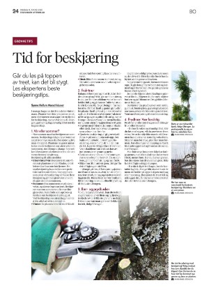 aftenbladet_bolig-20220311_000_00_00_024.pdf