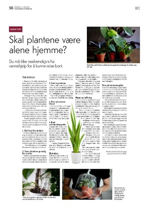 aftenbladet_bolig-20220617_000_00_00_056.pdf