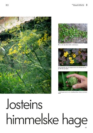 aftenbladet_bolig-20220902_000_00_00_003.pdf