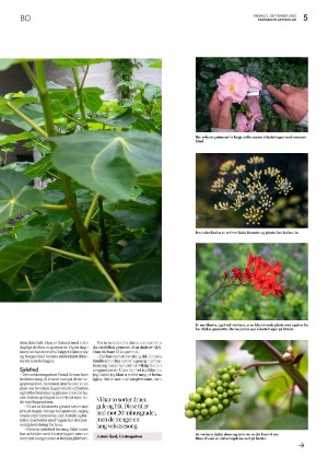 aftenbladet_bolig-20220902_000_00_00_005.pdf