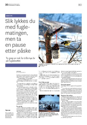 aftenbladet_bolig-20230303_000_00_00_020.pdf