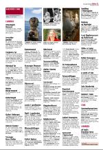 aftenbladet_del2-20080730_000_00_00_021.pdf