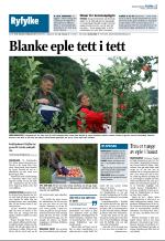 aftenbladet_del2-20080905_000_00_00_013.pdf