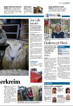 aftenbladet_del2-20081002_000_00_00_013.pdf