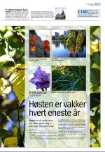 aftenbladet_del2-20081015_000_00_00_009.pdf