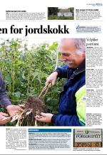 aftenbladet_del2-20081017_000_00_00_011.pdf