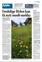 aftenbladet_del2-20081029_000_00_00_013.pdf