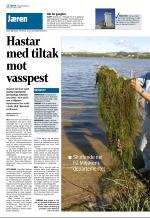aftenbladet_del2-20081030_000_00_00_010.pdf