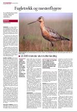 aftenbladet_del2-20081030_000_00_00_040.pdf