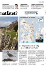 aftenbladet_del2-20081105_000_00_00_007.pdf