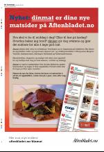 aftenbladet_del2-20081119_000_00_00_040.pdf