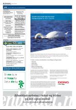 aftenbladet_del2-20081219_000_00_00_018.pdf