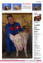 aftenbladet_del2-20081222_000_00_00_005.pdf