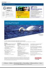 aftenbladet_del2-20090129_000_00_00_020.pdf