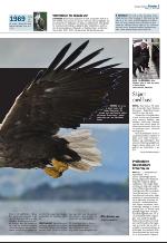 aftenbladet_del2-20090310_000_00_00_003.pdf