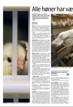 aftenbladet_del2-20090411_000_00_00_010.pdf