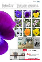 aftenbladet_del2-20090414_000_00_00_003.pdf