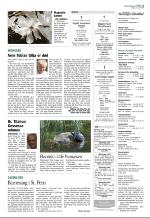 aftenbladet_del2-20090422_000_00_00_019.pdf