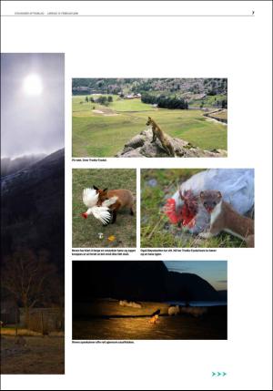 aftenbladet_del2-20160213_000_00_00_007.pdf
