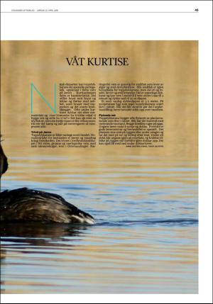 aftenbladet_del2-20160423_000_00_00_045.pdf
