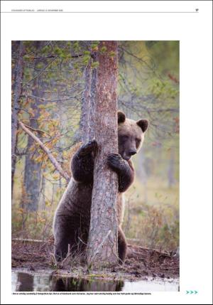 aftenbladet_del2-20161112_000_00_00_017.pdf