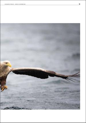 aftenbladet_del2-20161112_000_00_00_019.pdf