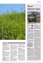 aftenbladet_del3-20080620_000_00_00_003.pdf