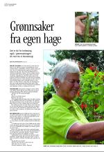 aftenbladet_del3-20080822_000_00_00_004.pdf