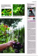 aftenbladet_del3-20080822_000_00_00_005.pdf