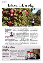 aftenbladet_del3-20080829_000_00_00_052.pdf