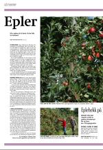 aftenbladet_del3-20080912_000_00_00_002.pdf